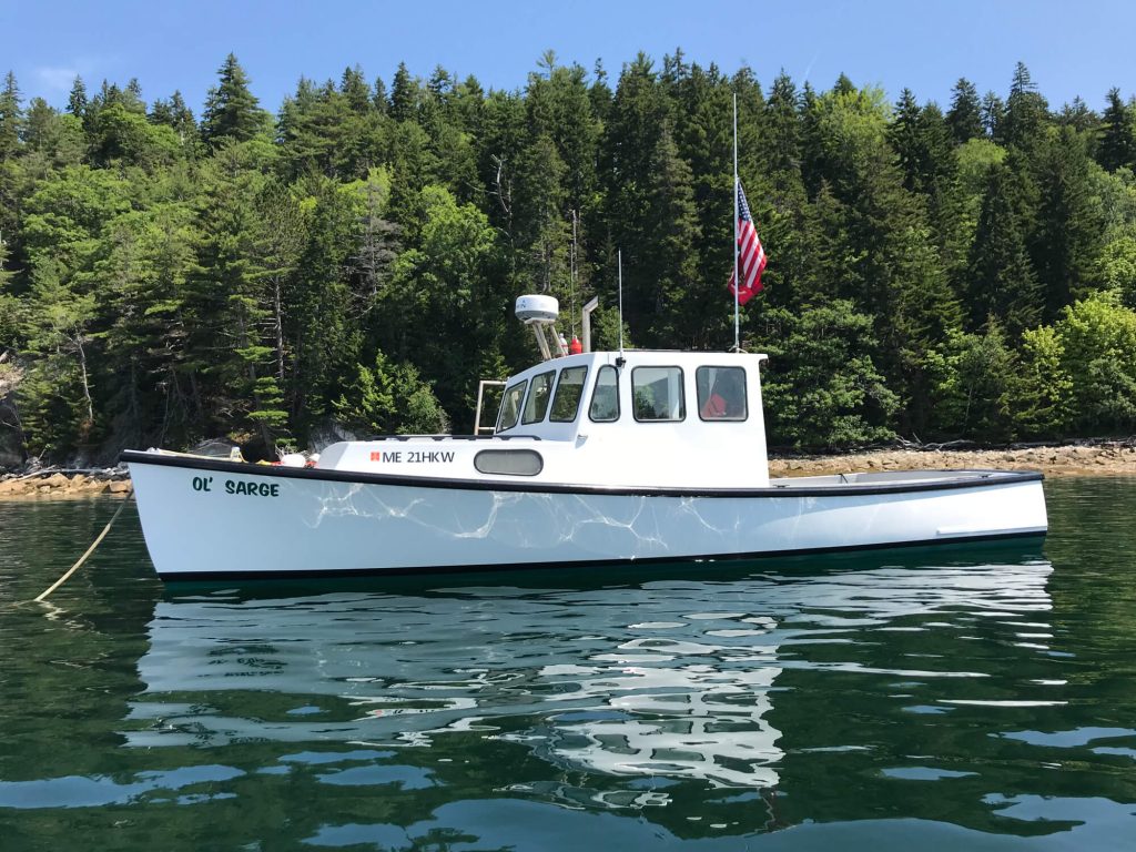 Boat moored off shore